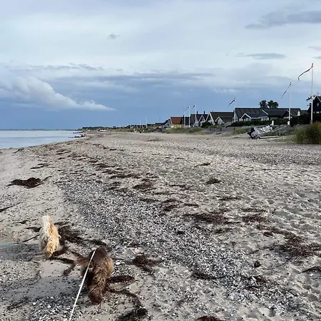 Tatil Evi 8 Person In