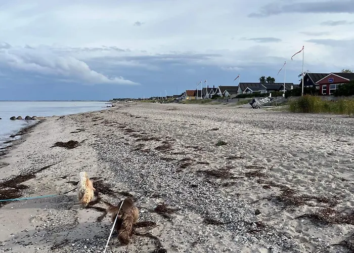 Semesterbostad 8 Person In